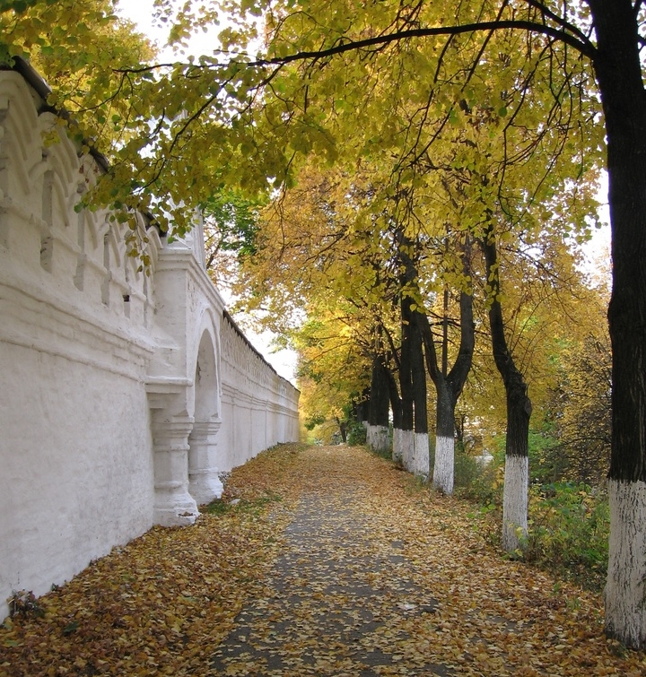 Стена Рождественского монастыря